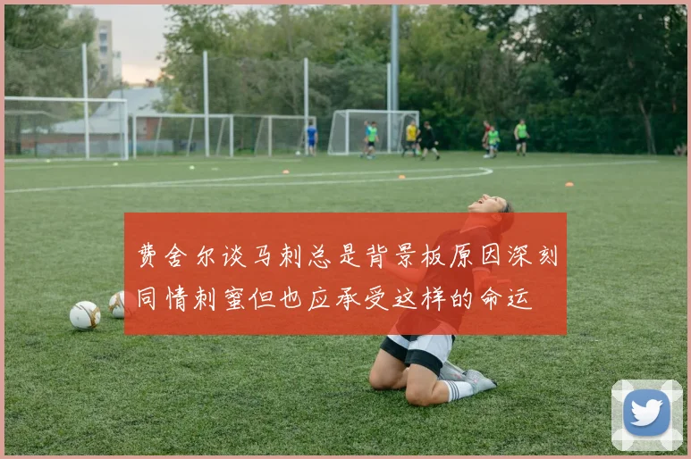 费舍尔谈马刺总是背景板原因深刻同情刺蜜但也应承受这样的命运