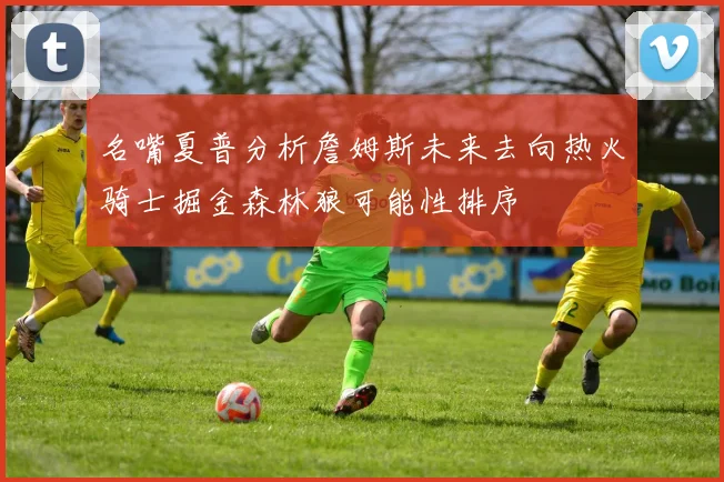 名嘴夏普分析詹姆斯未来去向热火骑士掘金森林狼可能性排序